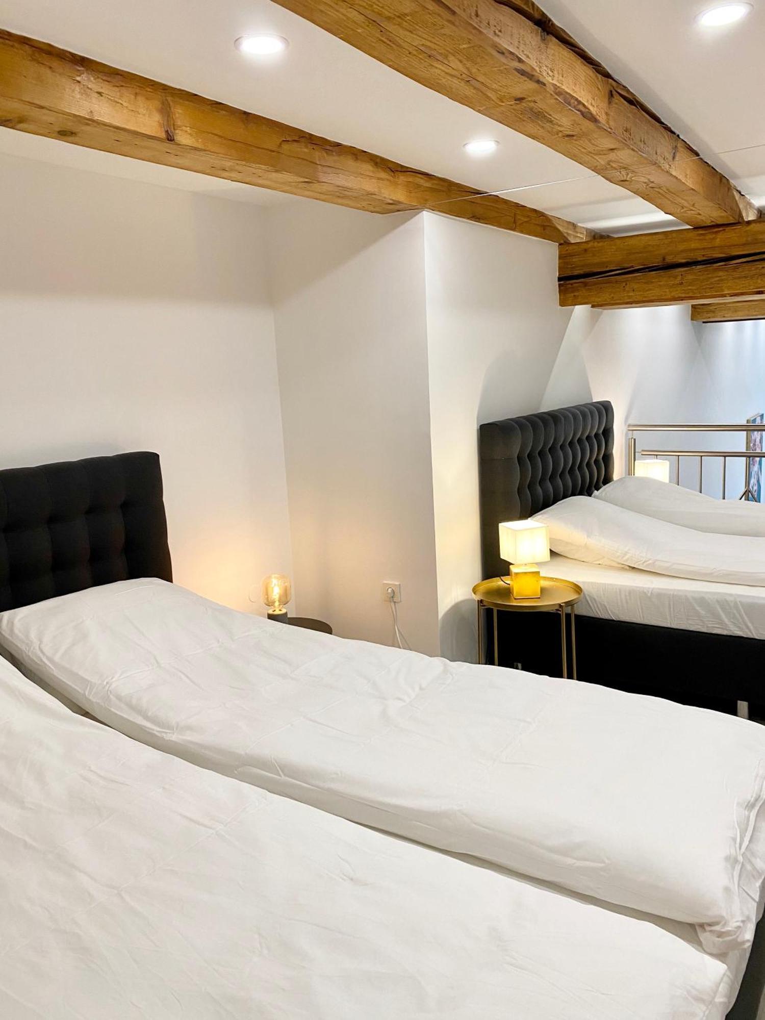 Jungle Loft - Central/Free Parking Ljubljana Exteriör bild